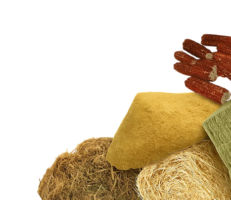 BTC Right Decoration